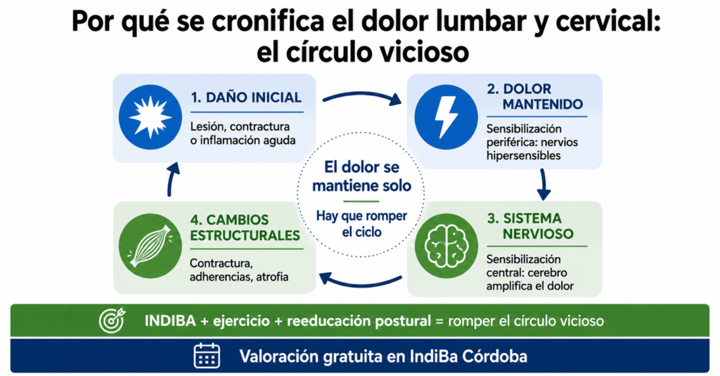 Dolor crónico lumbar y cervical por qué cronifica